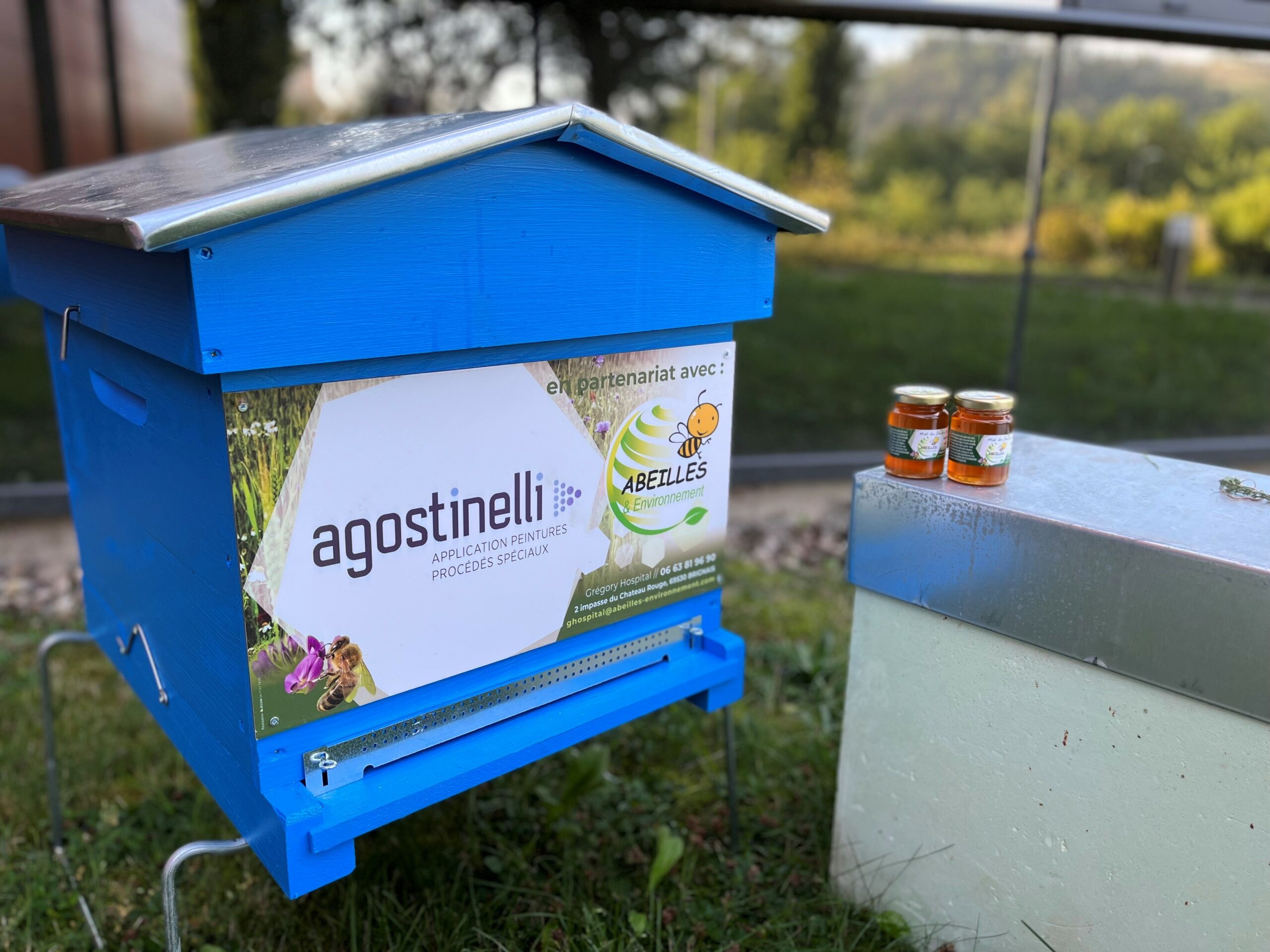 Etablissements Agostinelli_installation ruches