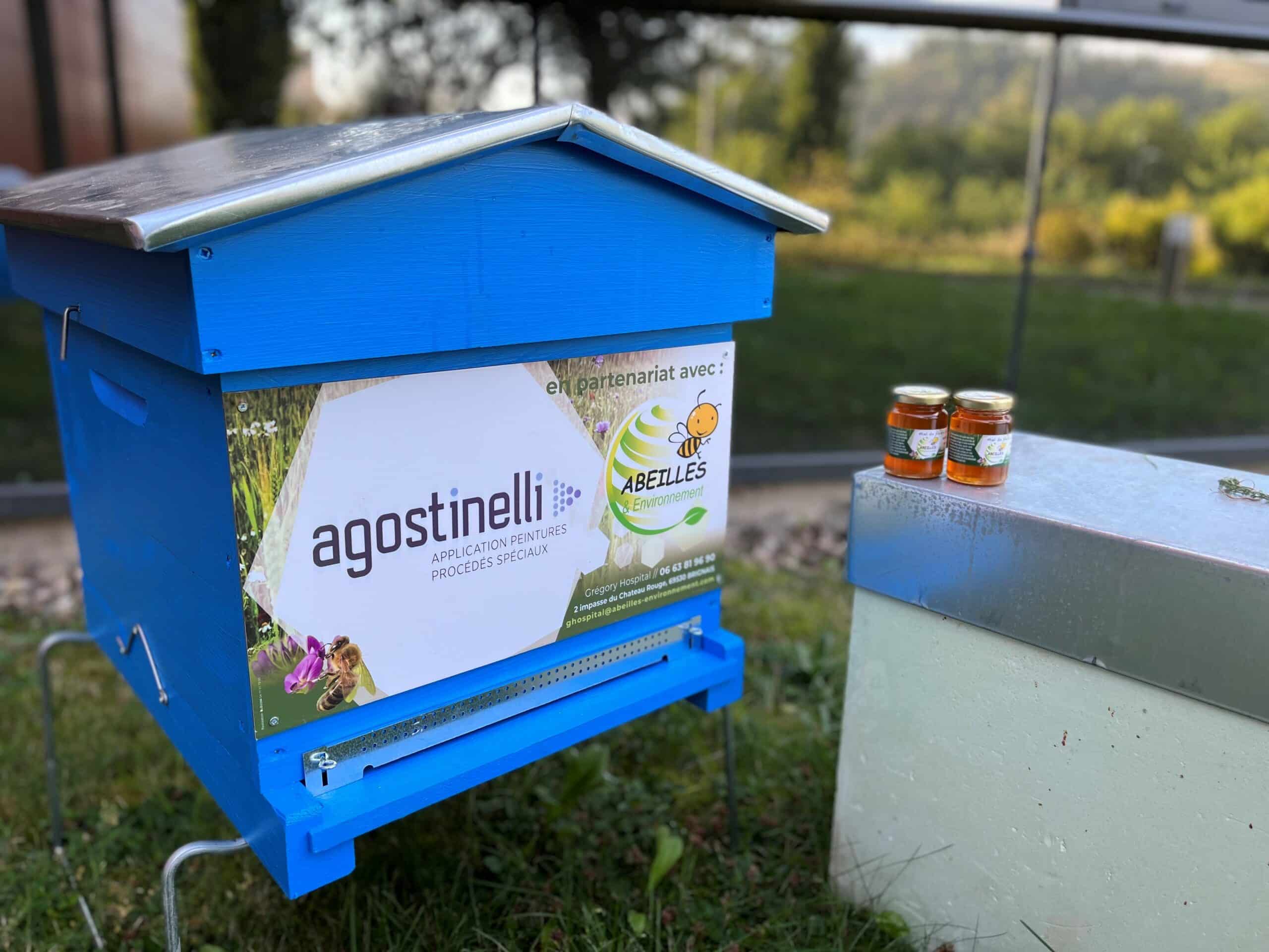 Etablissements Agostinelli_installation ruches Etablissements Agostinelli_installation ruches